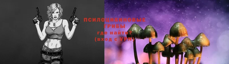 Галлюциногенные грибы Magic Shrooms  Алушта 